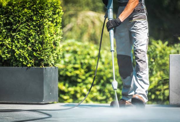 Best Pool Deck Cleaning in Sanborn, IA