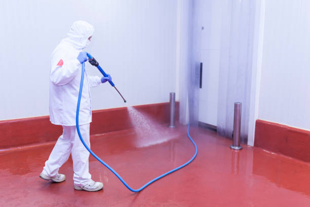 Best Soft Washing for Delicate Surfaces in Sanborn, IA