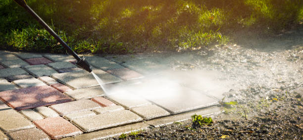 Best Roof Cleaning and Mildew Removal in Sanborn, IA